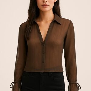 American Eagle Women’s Long Sleeve Top Sheer Brown Size Small New